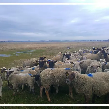 Holiday home Odyssee Sur Peniche Saint-Valery-sur-Somme